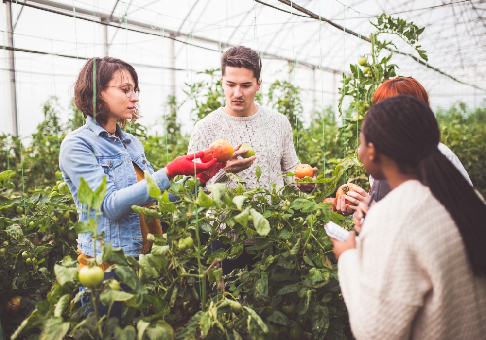 QGS - services - food & agriculture